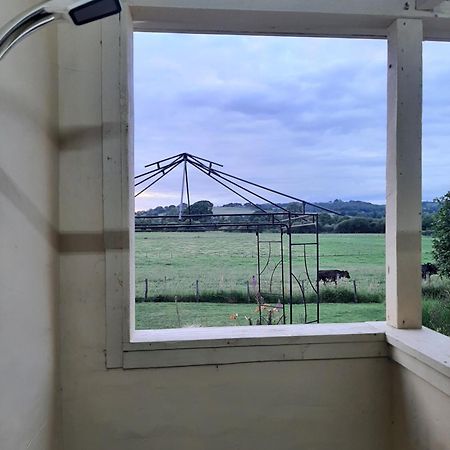 Apartmán Off Grid Rosie Sheperd Hut And Summerhouse Plus 1 Acre At Tanyrallt Llanybyther Exteriér fotografie
