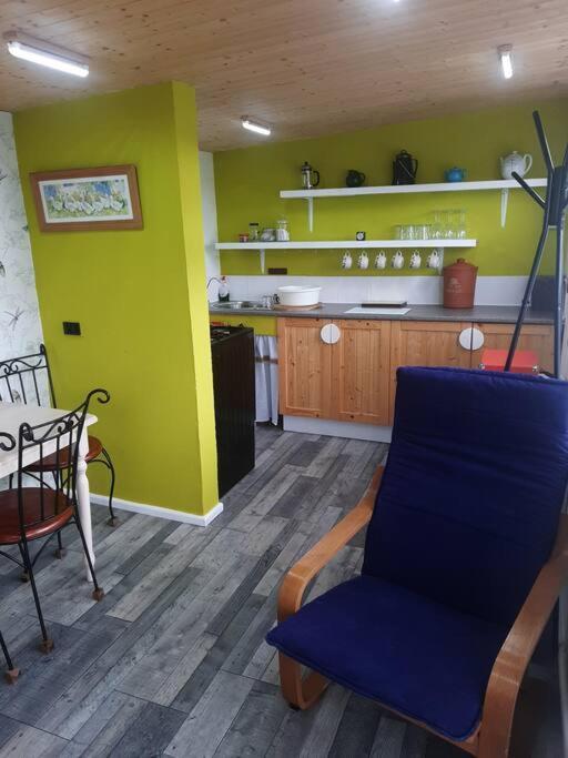 Apartmán Off Grid Rosie Sheperd Hut And Summerhouse Plus 1 Acre At Tanyrallt Llanybyther Exteriér fotografie
